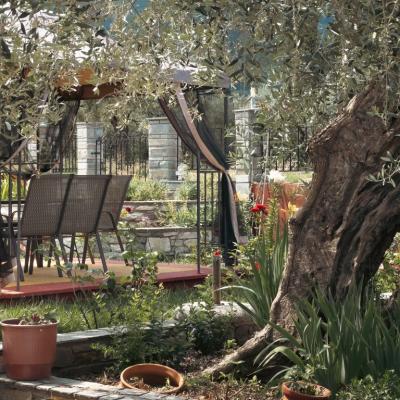 Katerina Liapi 52 1024x768